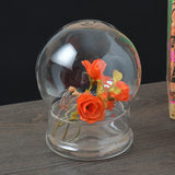 Maxbell Bell Jar Display Case DIY Glass Cloche for Decorative Fill fairy Lights