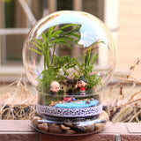 Maxbell Bell Jar Display Case DIY Glass Cloche for Decorative Fill fairy Lights