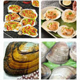 Maxbell Oyster Shucker Tool Set Scallop Oysters Opener Tools for Seafood Stores Home