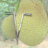 Maxbell Jackfruit Opener Simple to Use Steel Multifunctional for Kitchen Home Travel