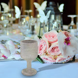 Maxbell Wine Goblet Elegant Champagne Tumbler for Daily Use Anniversary Friends Gift White
