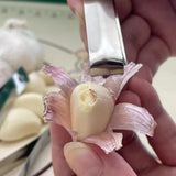 Maxbell 3x Fish Bone Tweezers Set Garlic Tweezer .Japanese Sushi Vegetables Tools