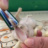 Maxbell 3x Fish Bone Tweezers Set Garlic Tweezer .Japanese Sushi Vegetables Tools