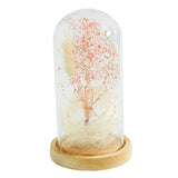 Dried Flower Glass Dome Lamp LED Night Light String Table Lamp Pink