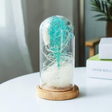 Dried Flower Glass Dome Lamp LED Night Light String Table Lamp Green