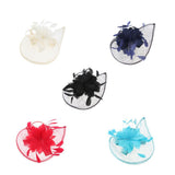 Maxbell Women's Vintage Flower Feather Mesh Net Fascinator Hair Clip Hat Party Black - Aladdin Shoppers
