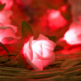 Maxbell 20led Battery LED Rose Christmas Lights Holiday String Lights Pink