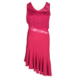 Max Latin Tassel Dance Dress Fringe Stage Performance Costume Dancewear L Pink