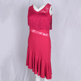Max Latin Tassel Dance Dress Fringe Stage Performance Costume Dancewear L Pink