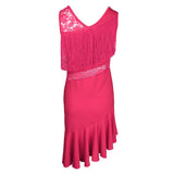 Max Latin Tassel Dance Dress Fringe Stage Performance Costume Dancewear L Pink