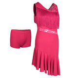 Max Latin Tassel Dance Dress Fringe Stage Performance Costume Dancewear L Pink