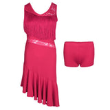 Max Latin Tassel Dance Dress Fringe Stage Performance Costume Dancewear L Pink