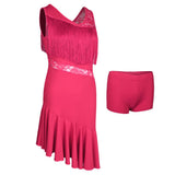Max Latin Tassel Dance Dress Fringe Stage Performance Costume Dancewear L Pink