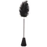 Maxbell Satin Blindfold Fluffy Whip Faux Feather Tickler Set