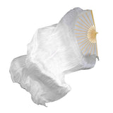 Max Maxb LED Fan Veils Belly Dance Silk Dancing Veil Light Up Show w/ USB Charger