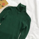 Lady Turtleneck Knit Sweater Long Sleeves Fall Winter Slim Sweater for Women Dark Green