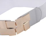 Maxbell Wide Waist Skinny belt Size Exquisite Decorative for Dress Ladies White