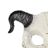 Maxbell Halloween Cosplay Goat Skull Mask Full Face for Carnival Costume Accessories