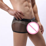 Maxbell Men Underpants Comfortable Quick Drying Elastic Transparent Shorts Low Rise XXL