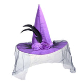 Maxbell Witch Women Hat Wide Brim Headgear Pointed Top for Halloween Party Purple