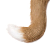 Maxbell Faux Fur Cat Ears and Tail Set Costume Fancy Dress Gift for Stage Shows Khaki