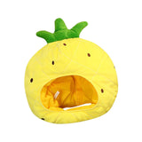 Maxbell Fruits Hat Plush Cartoon Performing Props Funny Comfortable Warm Decorations