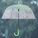 Maxbell Cherry Blossom Clear Bubble Umbrella Transparent Umbrella for Girl Women Green