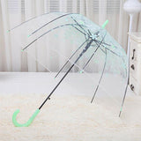 Maxbell Cherry Blossom Clear Bubble Umbrella Transparent Umbrella for Girl Women Green