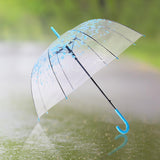 Maxbell Cherry Blossom Clear Bubble Umbrella Transparent Umbrella for Girl Women Blue