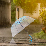 Maxbell Cherry Blossom Clear Bubble Umbrella Transparent Umbrella for Girl Women Blue