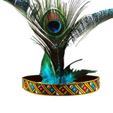 Maxbell Indian Headpiece Feather Headband Festival American Headband Fancy Dress Universal 55cm