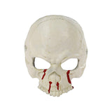 Maxbell Halloween Skull Mask Costume Prop Eyemask for Adults Pretend Play Holiday