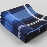 Maxbell Mens Handkerchiefs Cotton Elegant Classic Hankies for Gents Gift Celebration