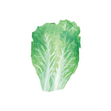 Maxbell Adult Food Costume Lovely Unisex Dress up for Themed Party Stage Performance Vegetables