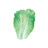 Maxbell Adult Food Costume Lovely Unisex Dress up for Themed Party Stage Performance Vegetables