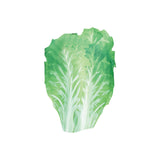 Maxbell Adult Food Costume Lovely Unisex Dress up for Themed Party Stage Performance Vegetables