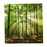 Max Set of 2 Panel Digital Printing 3D Curtains Window  Sunshine