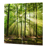 Max Set of 2 Panel Digital Printing 3D Curtains Window  Sunshine