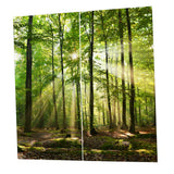 Max Set of 2 Panel Digital Printing 3D Curtains Window  Sunshine