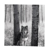 Max 2 Panel Printed Curtain Thermal Insulated Curtain Drape Gray Wolf