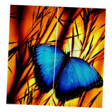 Max Set of 2 Panel Digital Photo Printing Blackout 3D Curtains Blue Butterfly