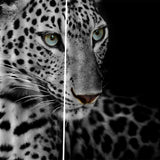 Max Set of 2 Panel Digital Photo Printing Blackout 3D Curtains Snow Leopard