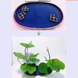 Max Japanese Ikebana Shippo Flower Arranging Frogs Flower Holder Planter 3 Rings