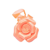 Max ABS Rose Magnetic Curtain Panel Buckles Voile Tiebacks Holdbacks Orange