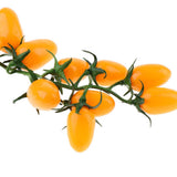 Maxbell Artificial Lifelike Simulation Cherry Tomato Cherries  Yellow Cherry Tomato