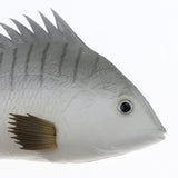 Maxbell Fake Simulation Fishing Bait Bionic Soft Fishing Lures(Grey, Red, Pink) Grey