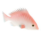 Maxbell Fake Simulation Fishing Bait Bionic Soft Fishing Lures(Grey, Red, Pink) Pink