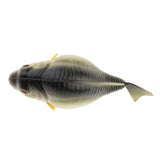 Maxbell Simulated Puffer Fish Decoration Fake Toy Model for Home Market Display Gray