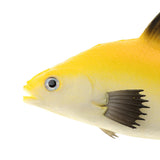 Max Lifelike Artificial Sea Fish Ornament for Aquarium Decorations Yellow