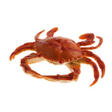 Maxbell Artificial PVC Crab Simulation Seafood Crab Decoration Soft and Realistic